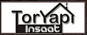 toryapi_logo